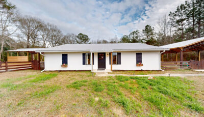 20334 AL-87 Elba, AL 36323 3D Model